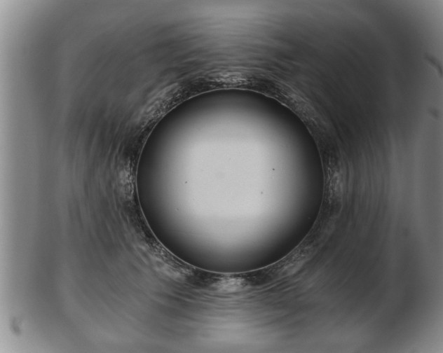 X0000103220609200809041004