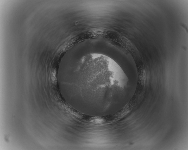 X0000103220610200809041004