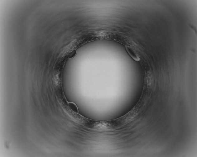 X0000103220611200809041004