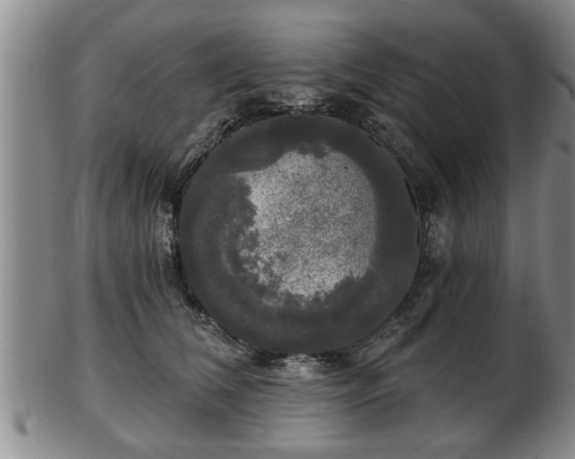 X0000103220612200809041004