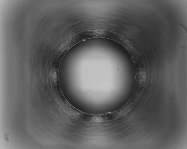 X0000103220613200809041004