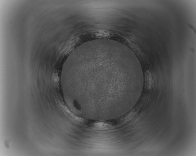 X0000103220614200809041004