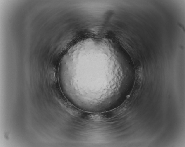 X0000103220615200809041004