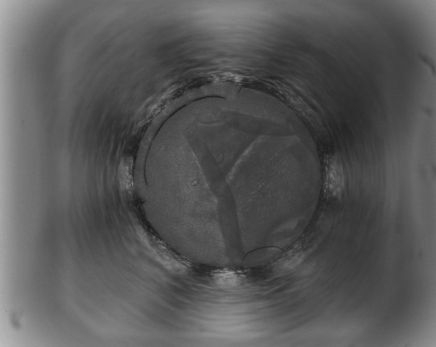 X0000103220616200809041004