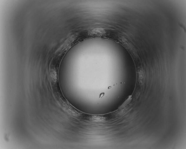 X0000103220617200809041004