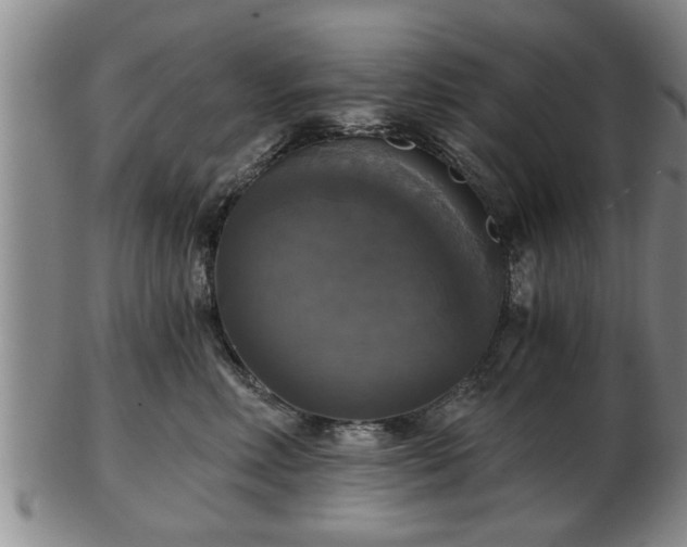 X0000103220618200809041004