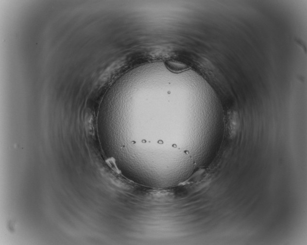 X0000103220619200809041004