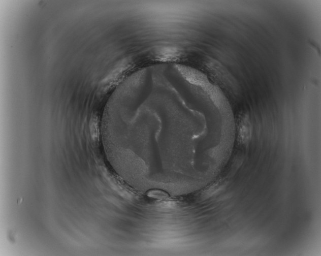 X0000103220620200809041004