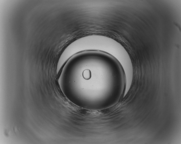 X0000103220621200809041004