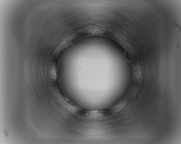 X0000103220622200809041004