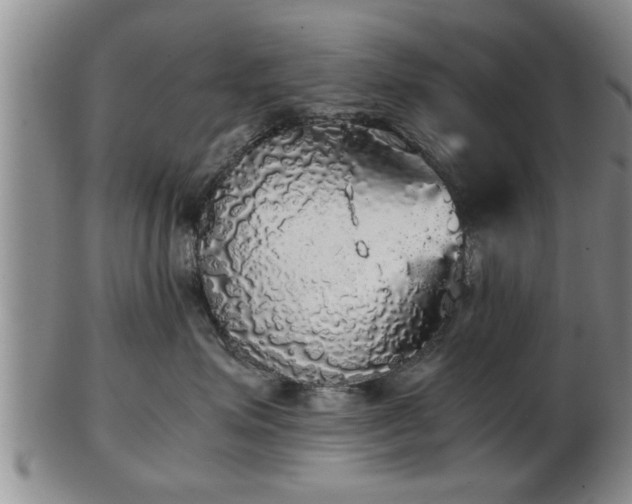 X0000103220623200809041004