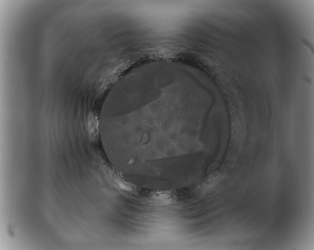 X0000103220624200809041004