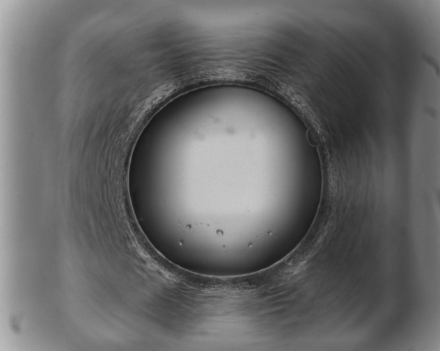 X0000103220625200809041003