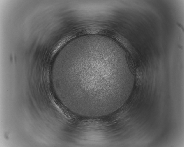 X0000103220626200809041003