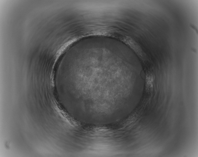 X0000103220628200809041003