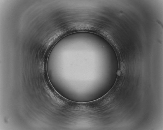 X0000103220629200809041003