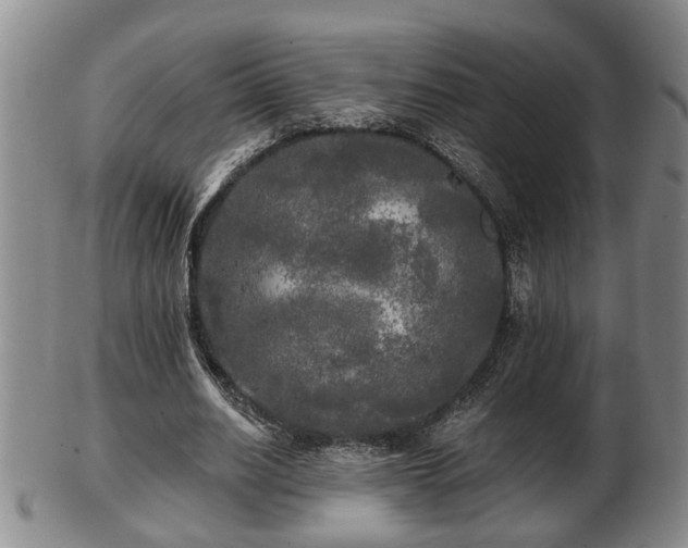 X0000103220630200809041003