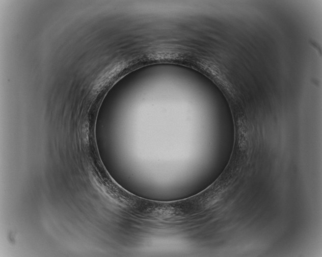 X0000103220631200809041003