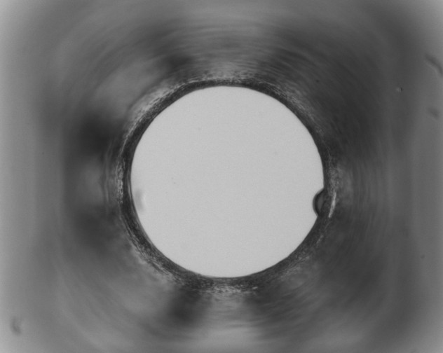 X0000103220632200809041003