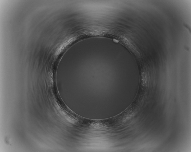 X0000103220634200809041003