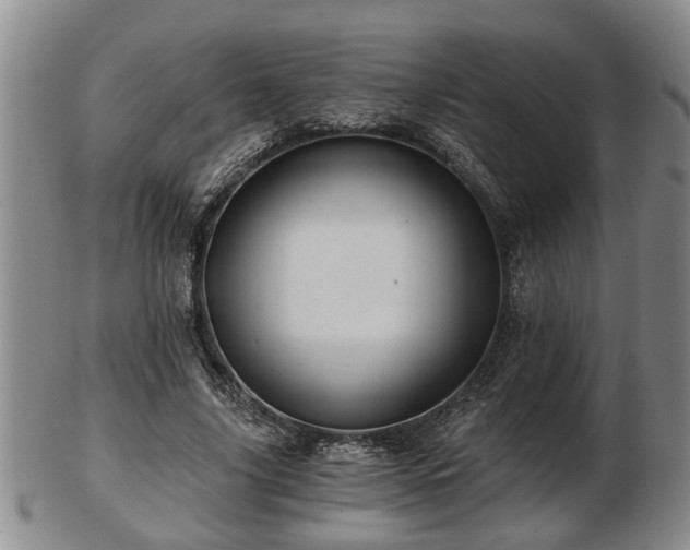 X0000103220635200809041003