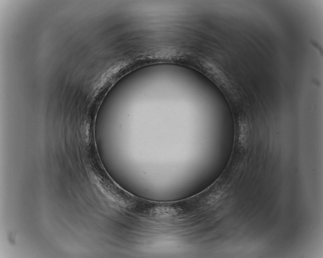 X0000103220636200809041003