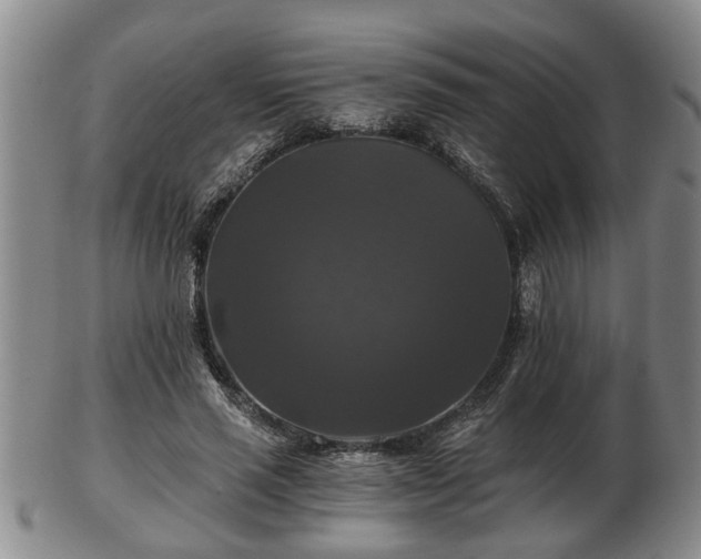 X0000103220637200809041003