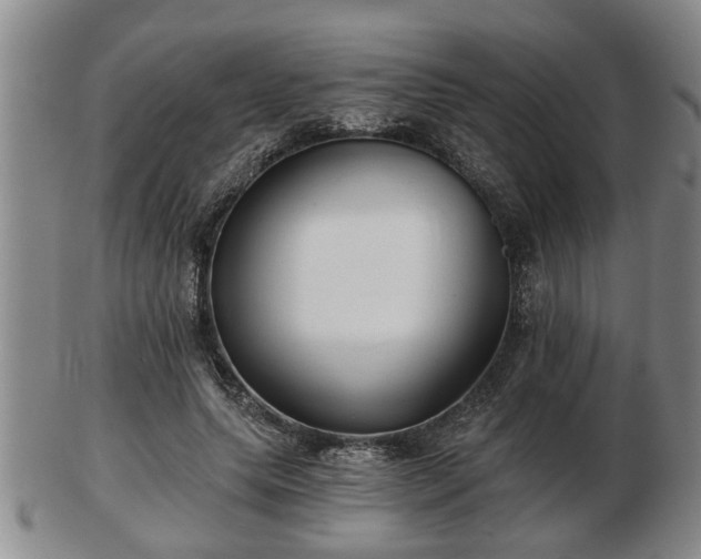 X0000103220639200809041003