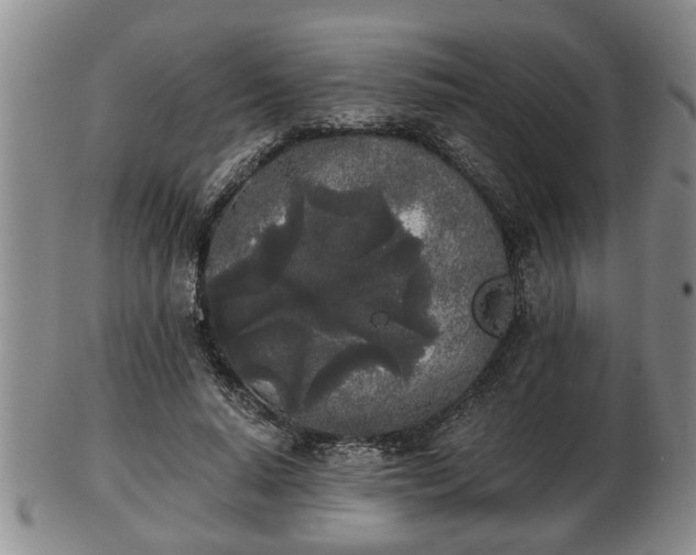 X0000103220640200809041003