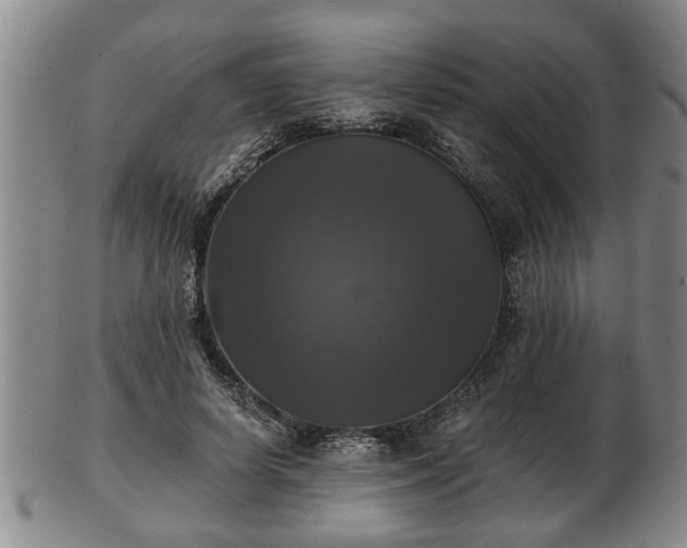 X0000103220642200809041003