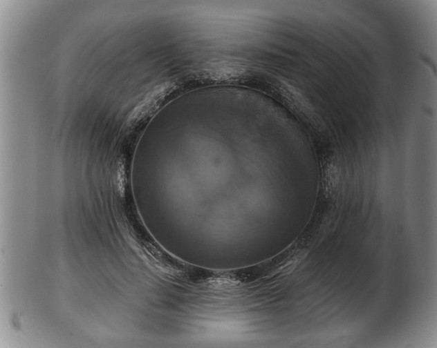 X0000103220644200809041003