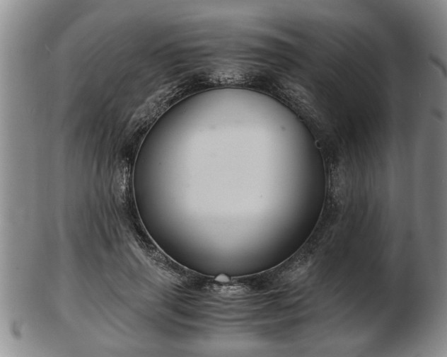 X0000103220645200809041003