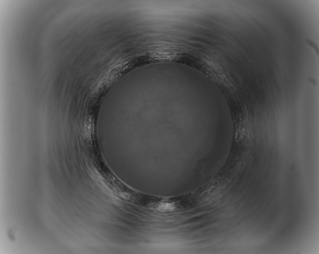 X0000103220647200809041003