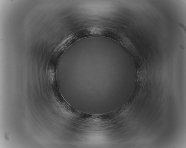 X0000103220648200809041003