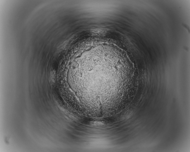 X0000103220649200809041003