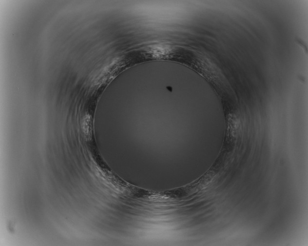 X0000103220650200809041004