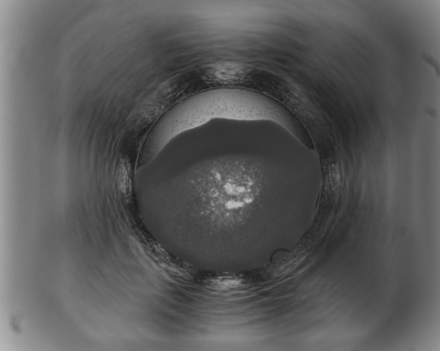 X0000103220651200809041004