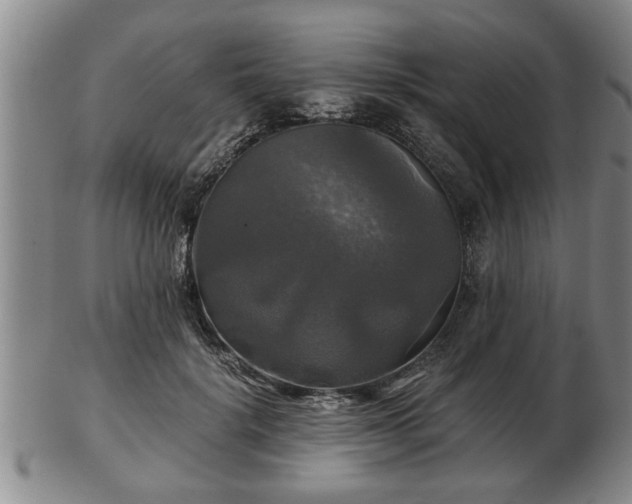 X0000103220652200809041004