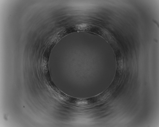 X0000103220653200809041004