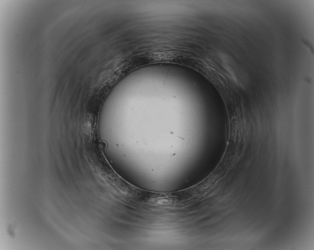 X0000103220655200809041004