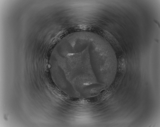 X0000103220656200809041004