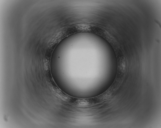 X0000103220658200809041004