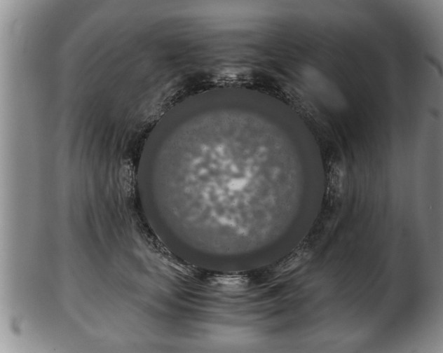 X0000103220659200809041004