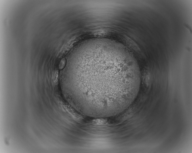 X0000103220660200809041004