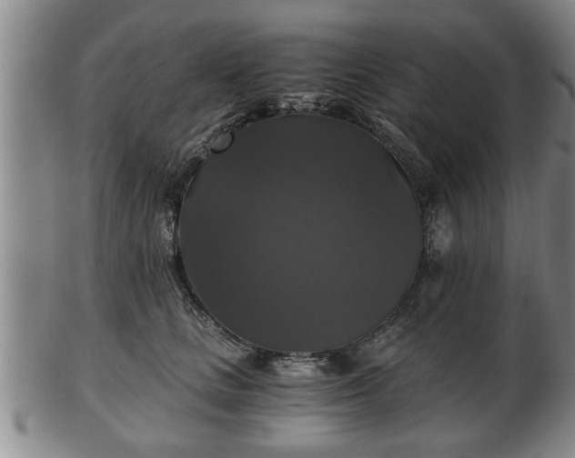 X0000103220661200809041004