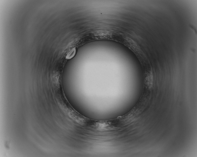 X0000103220662200809041004