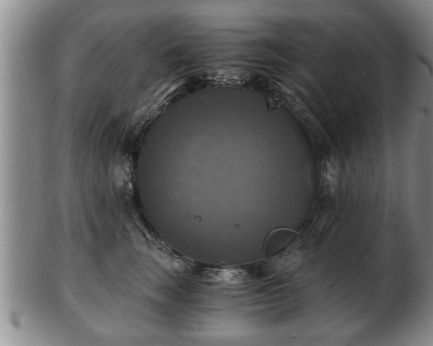 X0000103220663200809041004