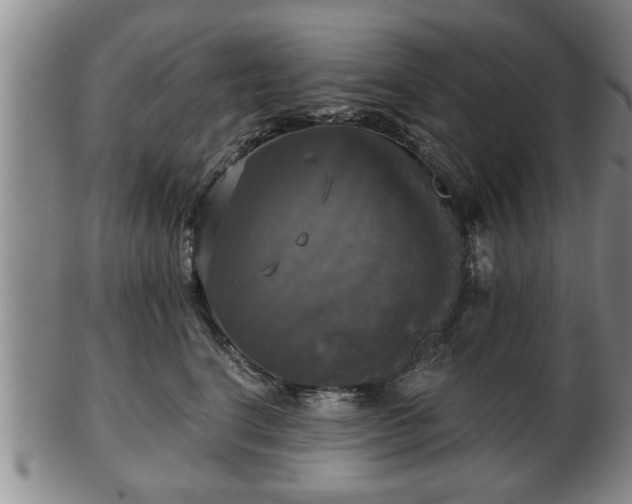 X0000103220664200809041004