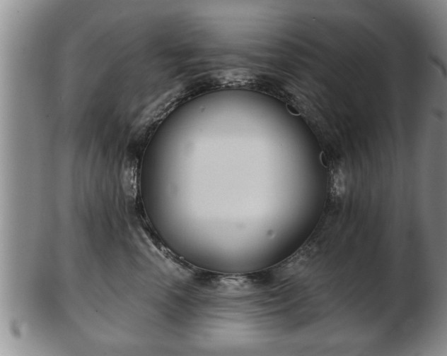 X0000103220666200809041004