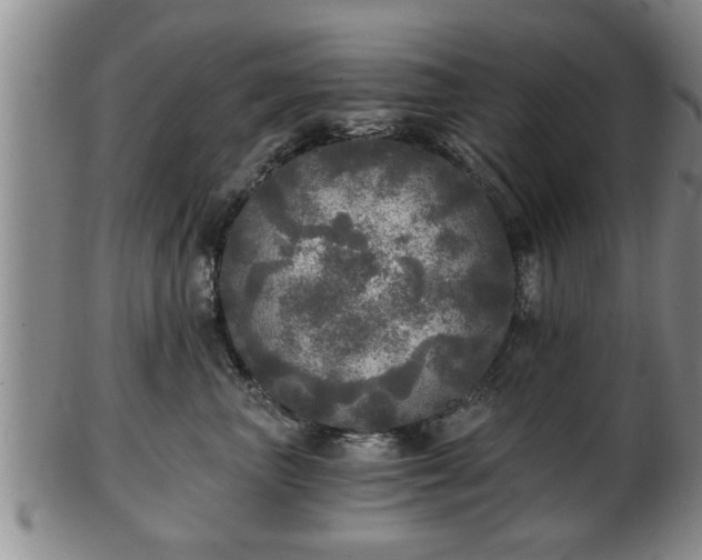 X0000103220667200809041004